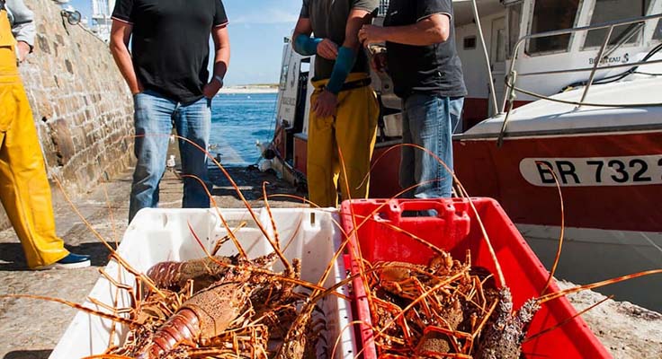 Les produits et producteurs locaux des demoiselles de Loctudy près de Bénodet